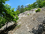 DSC02556