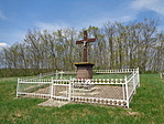 DSC02559