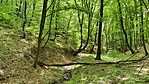 20200508_104034