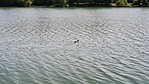 20200508_112822
