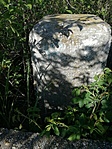 IMG_20200501_171541
