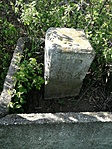 IMG_20200501_170556
