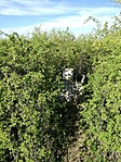 IMG_20200501_170540