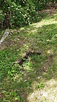 GCBRDA_20200515_141611
