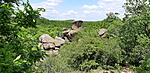 20200503_130009