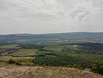 Panoráma