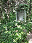 IMG_20200509_140753