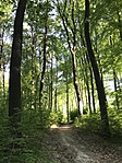 IMG_4901