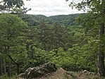 IMG_5363