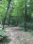 IMG_5366