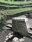 IMG_5369