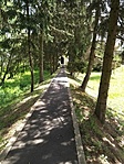 Csegöld- a templomhoz vezető út