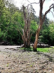 20200506_120549