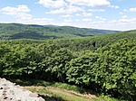 20200521_103042