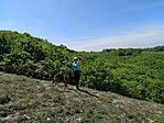 IMG_20200430_121805