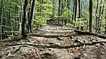 IMG_20200422_110302