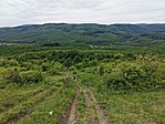 IMG_20200523_110022