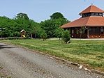 GCBRDA_20200515_141734