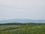 P5104522