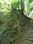 P5184934