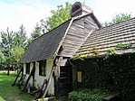 P5184957