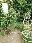 IMG_20200531_120843