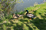 1-IMG_20200426_153053