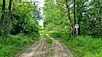 BALATON 031