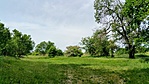 BALATON 033