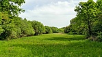 BALATON 037