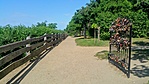 Fonyódi panorámasétány