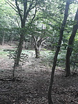 20200616_131936