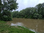 Tisza
