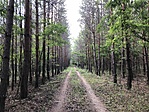 IMG_3046