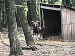 IMG_3048