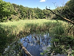 IMG_3058