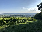 IMG_3061