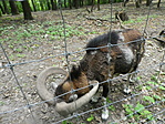 IMGP0116