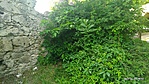 P00623-185236