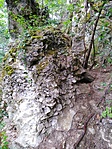 IMG_20200531_161136