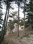 IMG_20200531_161301