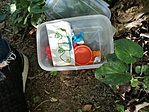 IMG_20200601_171112
