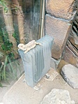 IMG_20200525_105725