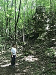IMG_0118