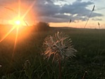IMG_0254