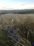 IMG_0225