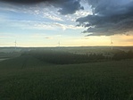 IMG_0221