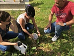 IMG_0896[1]