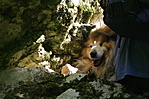 IMGP9246