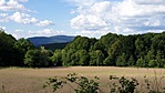 2020-06-06 17.30.56R